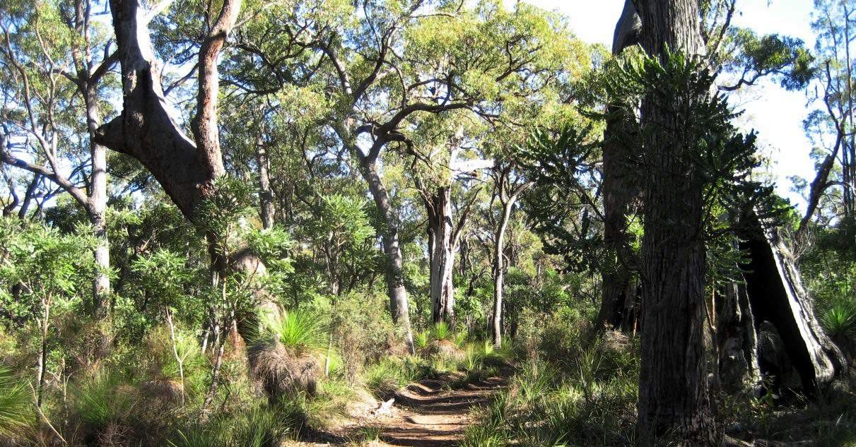 Hiking safely - HikeWest